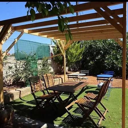 Apartamento Xdream Jungle